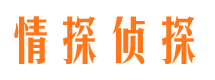 富宁市调查公司